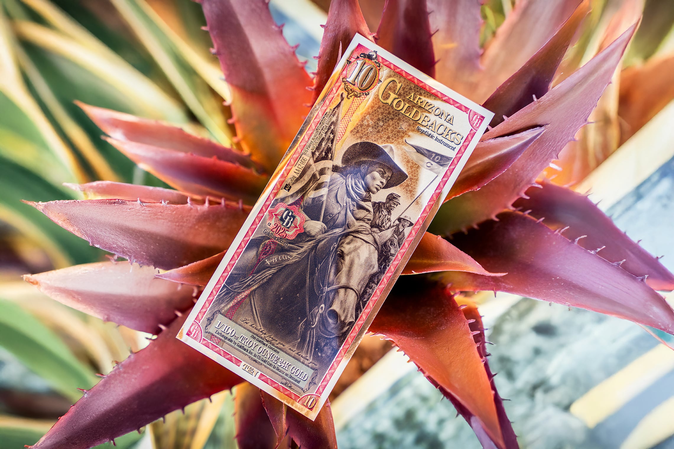 Arizona ls nature 9